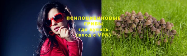 стафф Волоколамск