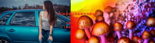 ECSTASY Вязники