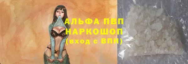 стафф Волоколамск