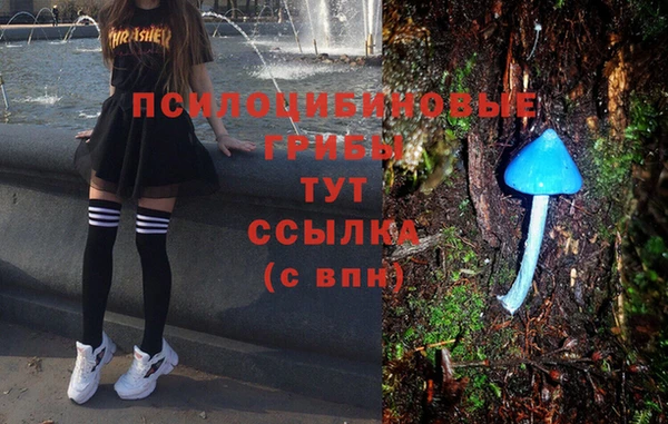 стафф Волоколамск