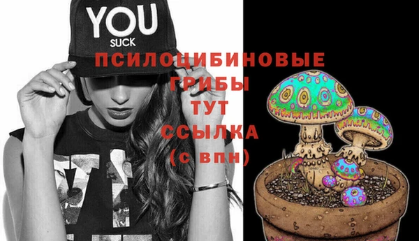 стафф Волоколамск