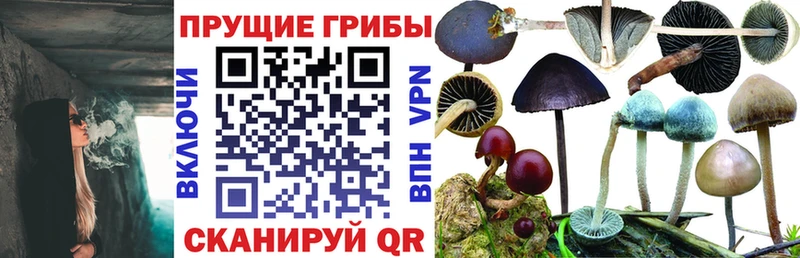 наркотики  mega как войти  Псилоцибиновые грибы ЛСД  Ивдель 